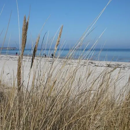 Likedeeler Whg Li27 Appartement