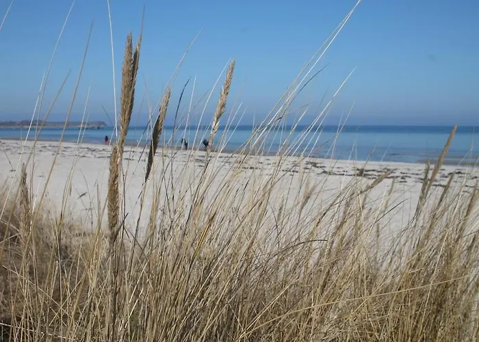 Likedeeler Whg Li27 דירה